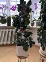 Blumentopf mit Goldverzierung Keramik