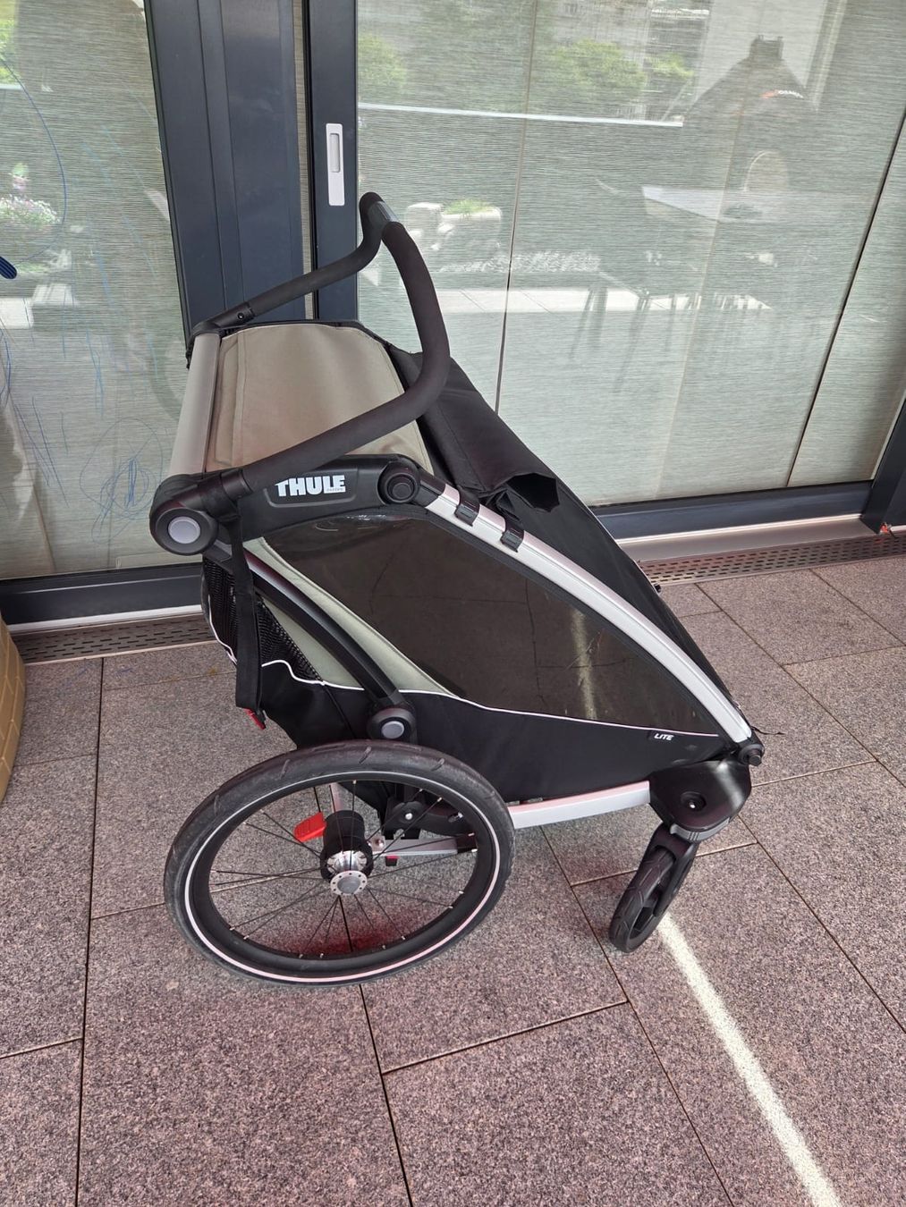 Thule Rimorchi: THULE Chariot LITE Double Farbe: alu/agave – Usato da Egg b. Zürich venduto da Moritz8132 3