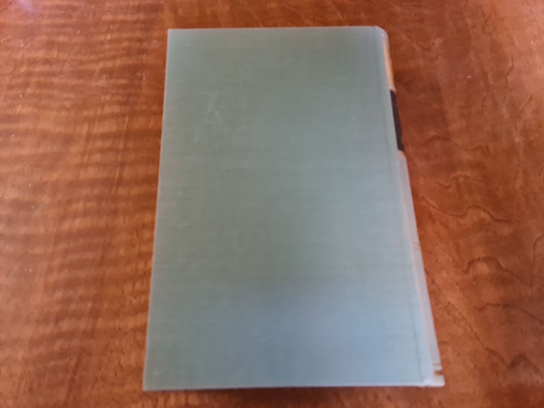 Libri: Zwischen Meer und Menschen – Usato da Erstfeld venduto da Mario_boe0 5