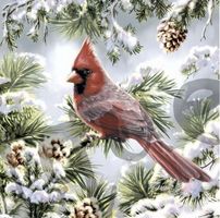 Serviette  red robin 25x25 (1172) 2Stk.