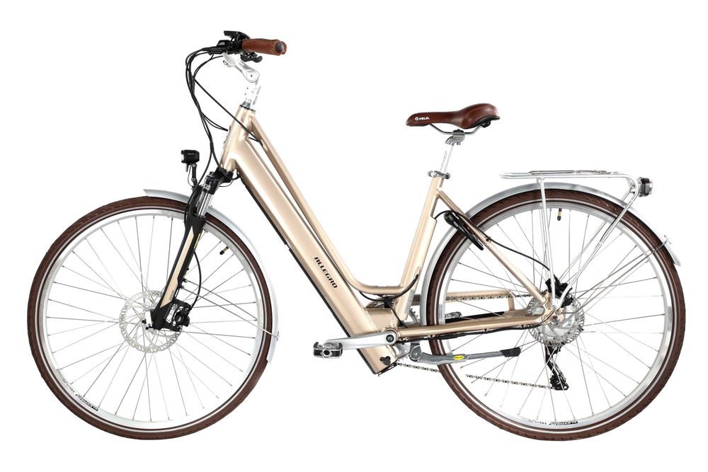 Damen E Bikes Gebraucht
