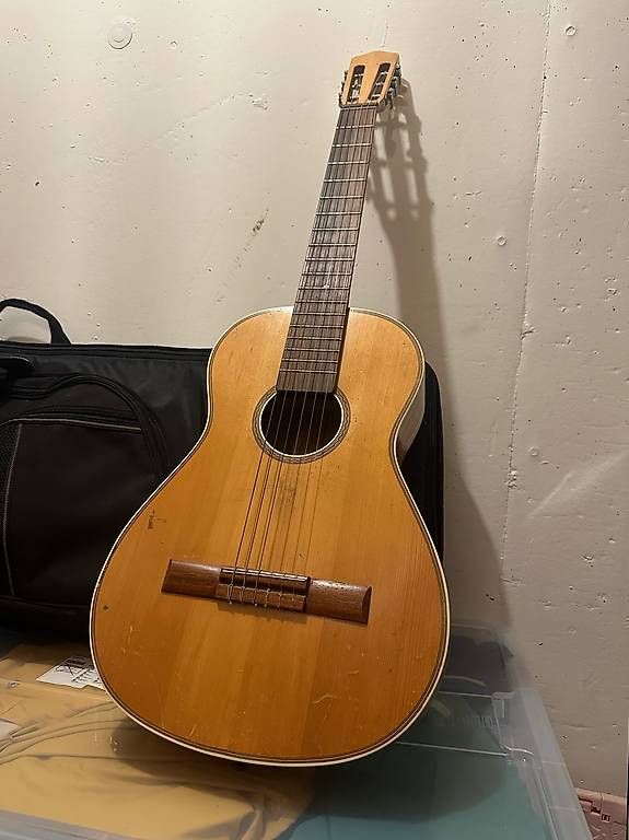 Vintage Strumenti musicali: Vintage Gitarre – Usato da Wagen venduto da mic_p8gt
