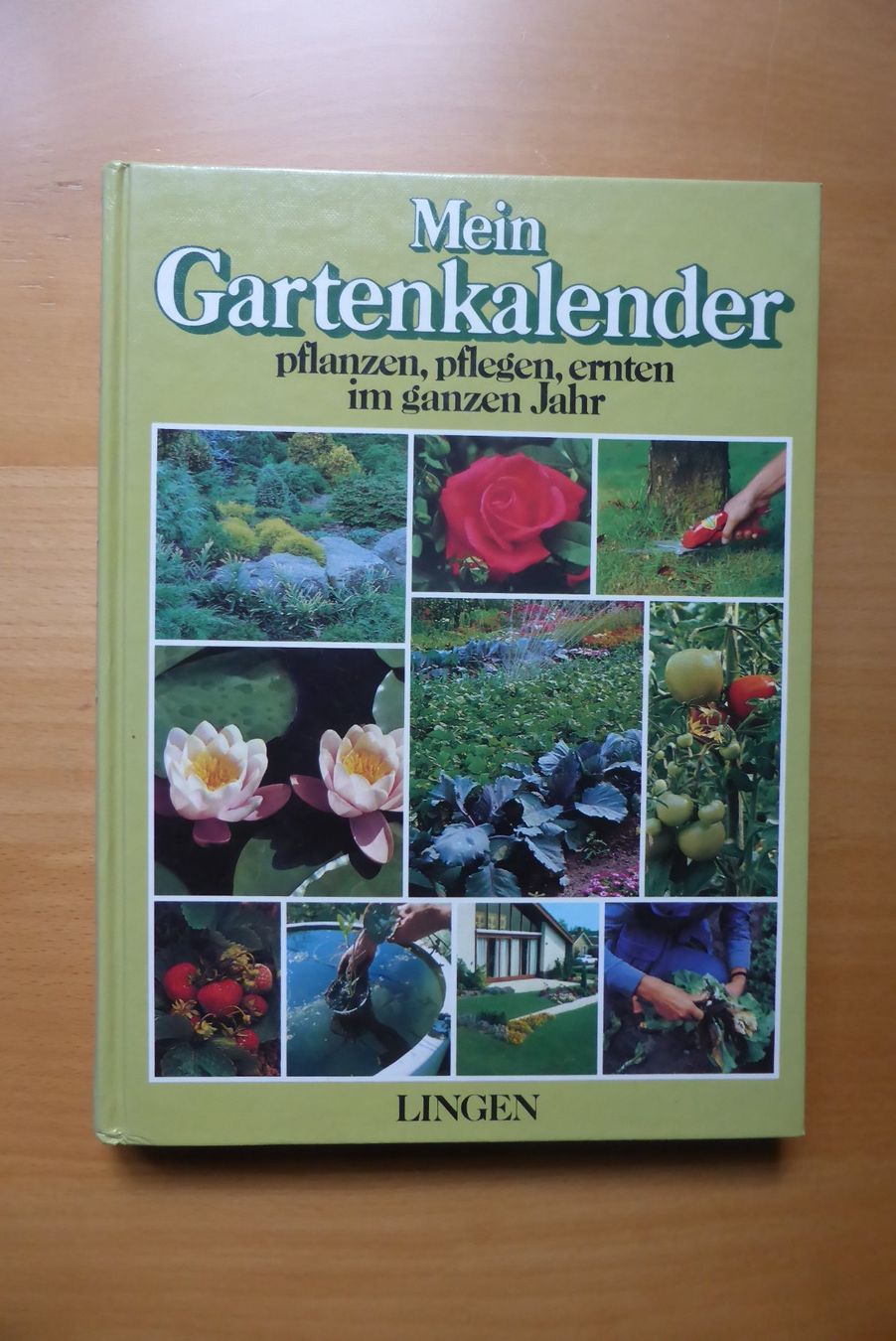 Libri: Mein Gartenkalender – Usato da Brunnadern venduto da lesezirkel