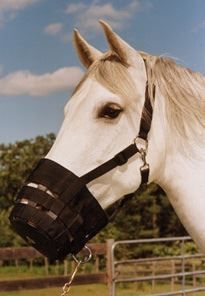 Best Friend Have-A-Heart Grazing Muzzle - Charlies Products