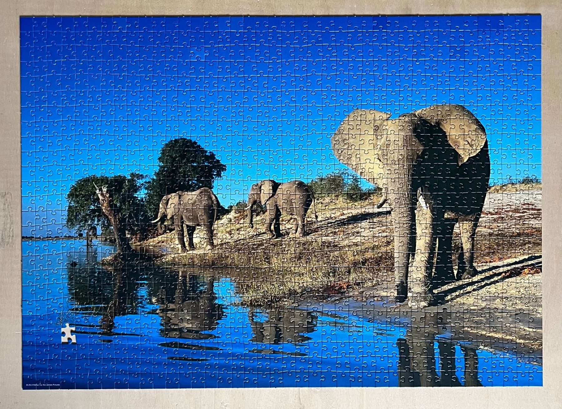 Heye Puzzle: 1000er Puzzle Heye - Elefanten – Usato da Küssnacht am Rigi venduto da lera128 1