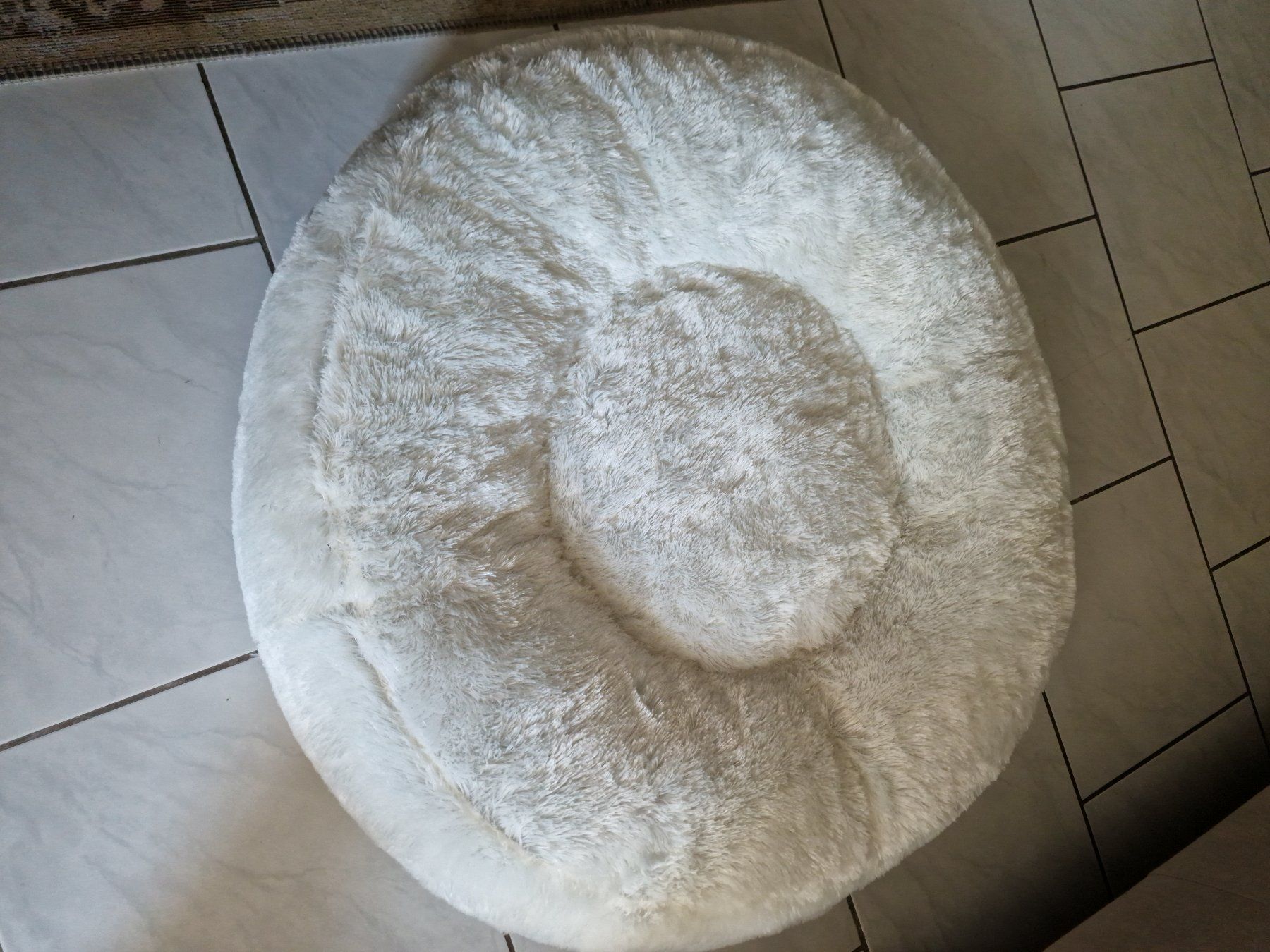 Cucce & Letti: Hundebett Flocke – Usato da Felben-Wellhausen venduto da ABJST
