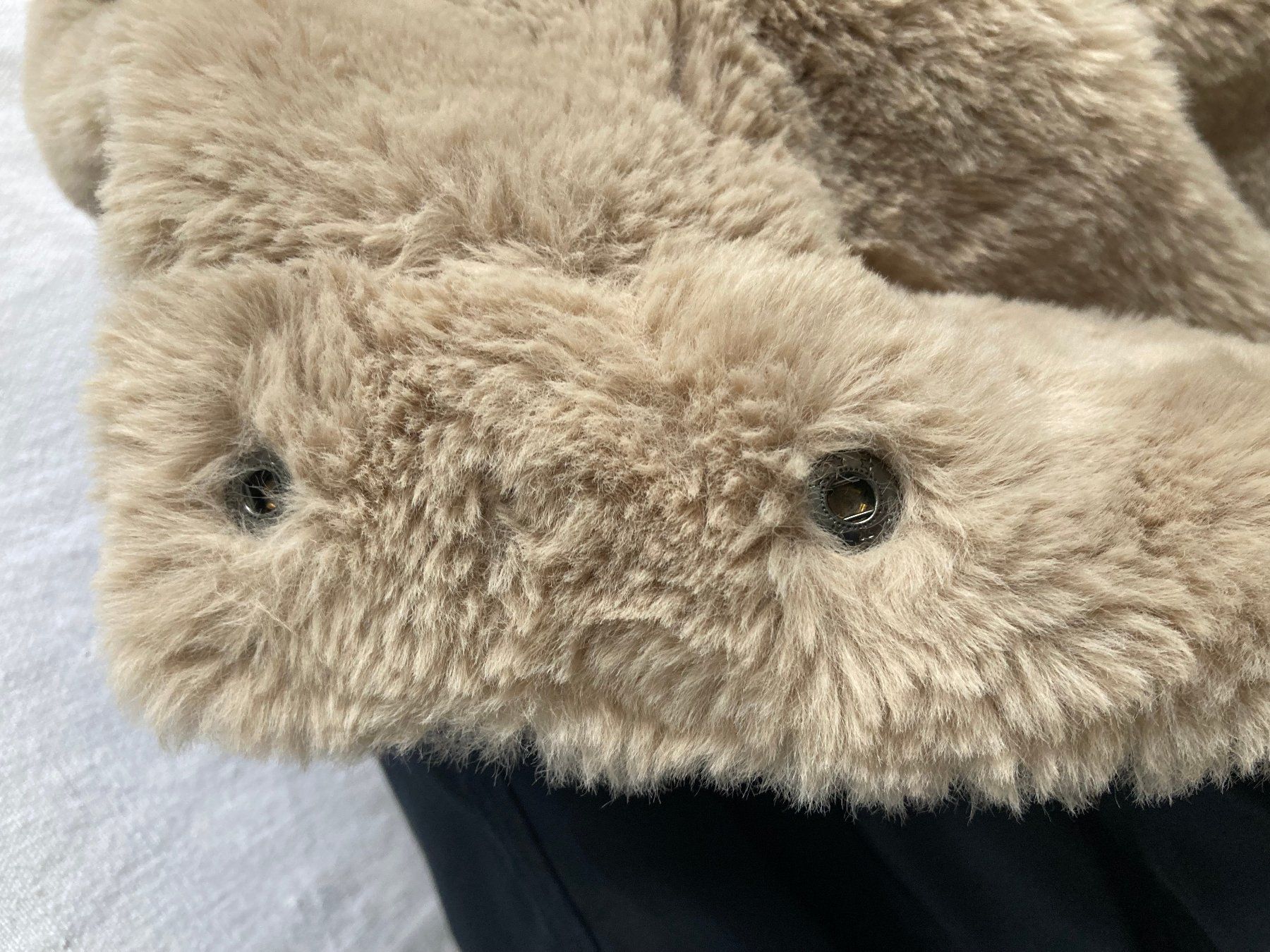 Cappotti: Manteau d'hiver – Nuovo (secondo la descrizione) da Delémont venduto da fca_7dtl 5