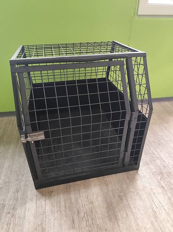 Käfige, Transport & Sicherheit: Hundebox – Gebraucht aus St. Antoni von bill_7 2