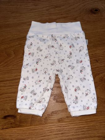 Gr 56 peek a boo 100% cotton
