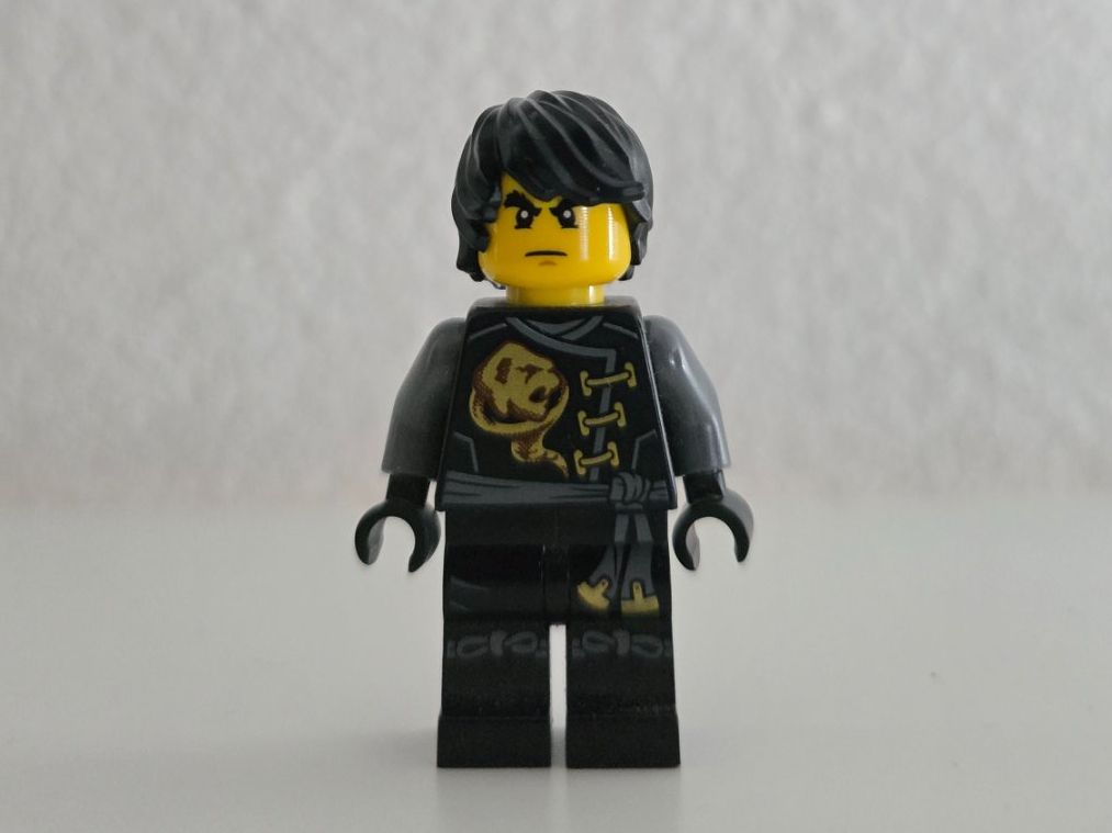 Lego Giocattoli: Lego Ninjago Cole - Skybound njo0199 – Usato da Suhr venduto da fuva23