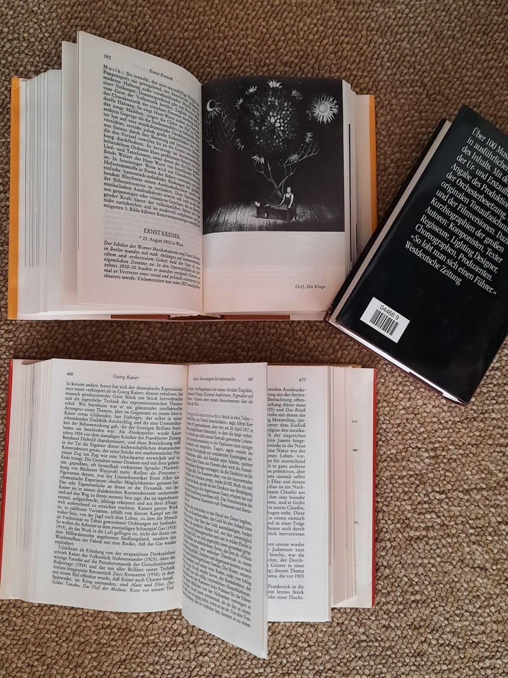 Bücher: Reclam Schauspielführer, Opernführer, Musicalführer, 3 Bde – Gebraucht aus Niederteufen von Buecherwurm_70 1
