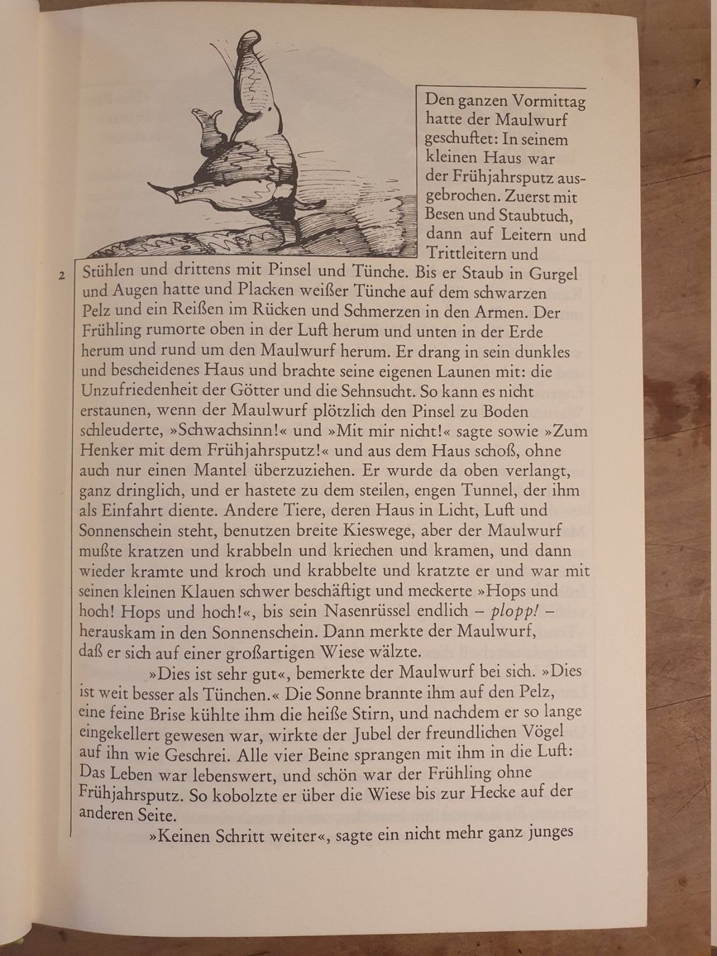 Libri: Der Wind in den Weiden Kenneth Grahame – Usato da Zürich venduto da loosebone 3
