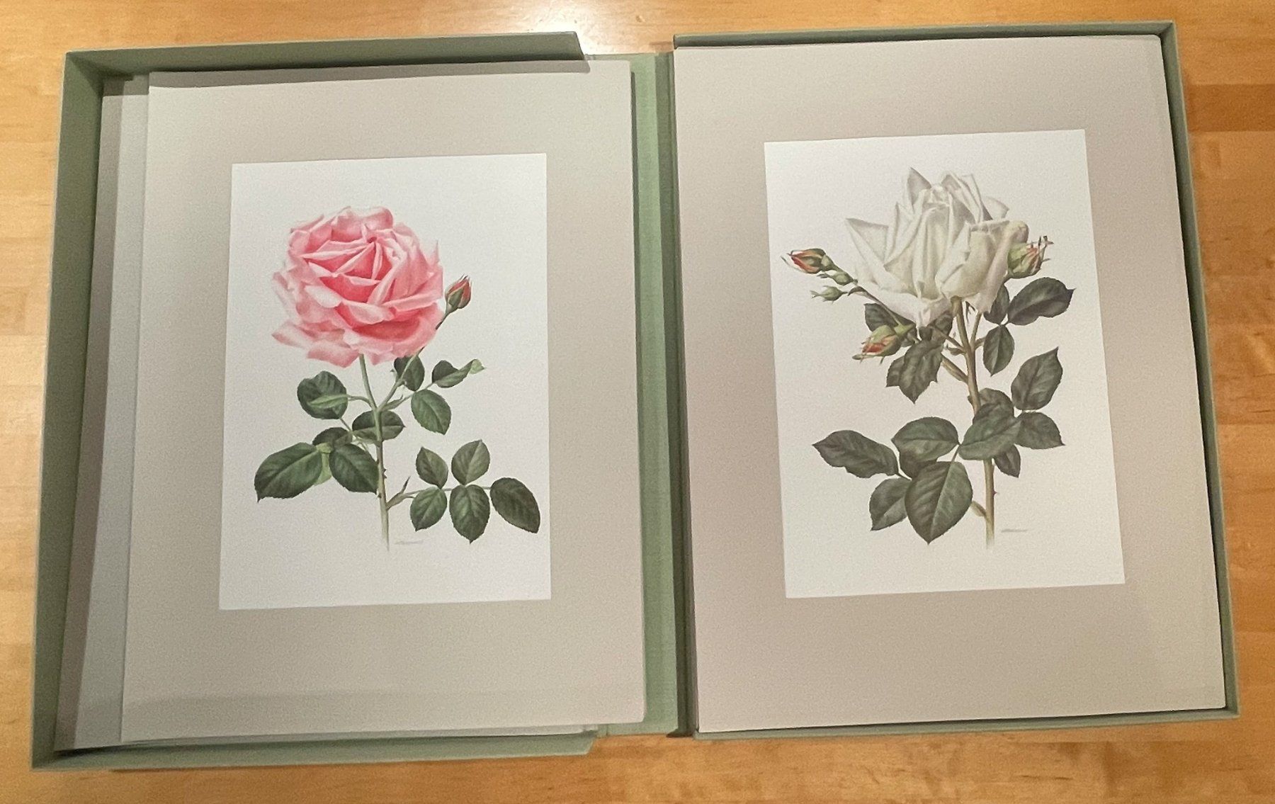 Bücher: Roses d’antan – Gebraucht aus Bärau von Bluemli21 2