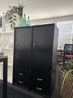 2x stilvolle Massivholz-Schränke