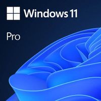 Microsoft Windows 11 Pro ESD 64bit