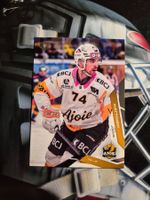 Julius Nättinen HC Ajoie 2025/26 Sportzoo