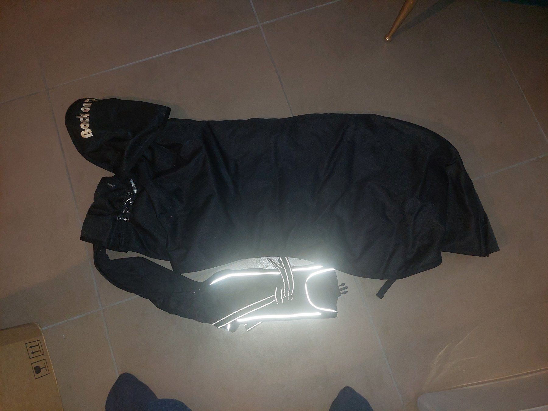 Bekleidung: Back on Track Winter-Hundemantel – Gebraucht aus Widnau von blackSkorpion88 4