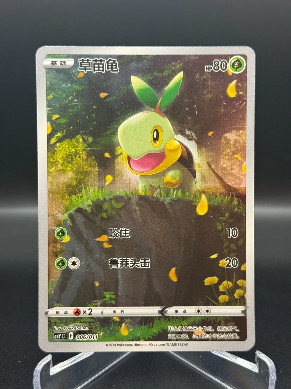 Pokémon Sammelbilder & Trading cards: Turtwig (CSYC 006) – Gebraucht aus Birmensdorf ZH von SnorlaxMail