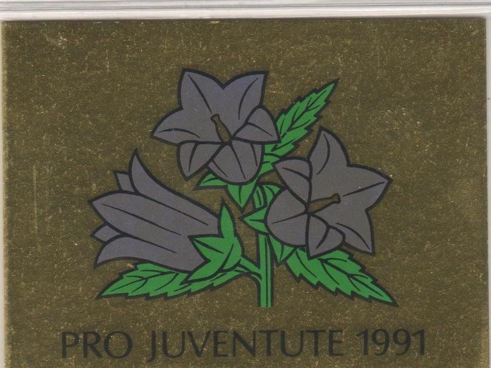 Alle Briefmarken: Pro Juventute Markenheft 1991 ET-O – Gebraucht aus Remetschwil von Hofiii