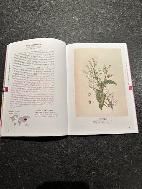 Libri: Buch - Pflanzen - Botanica – Usato da Interlaken venduto da joe-luzern 2