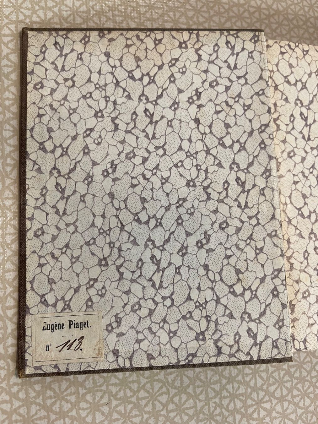 Libri: Buch - Gedichte von Nicolaus Lenau – Usato da Urnäsch venduto da pas_5r9c 3