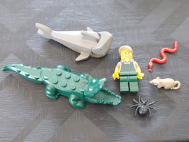 Lego Dschungelforscher , 🐊 Krokodil,  Hai, Spinne 