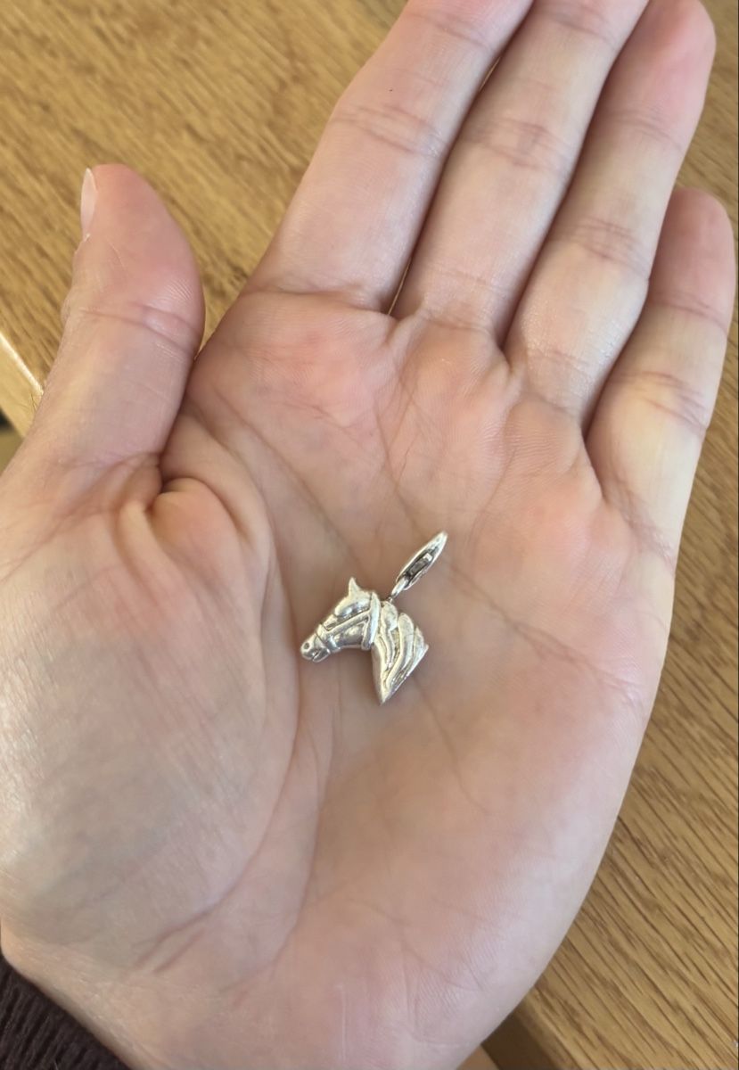 Thomas Sabo Pendentifs: Thomas Sabo Charm - Pferdekopf – D'occasion à Wetzikon ZH par ger_yvd6 1