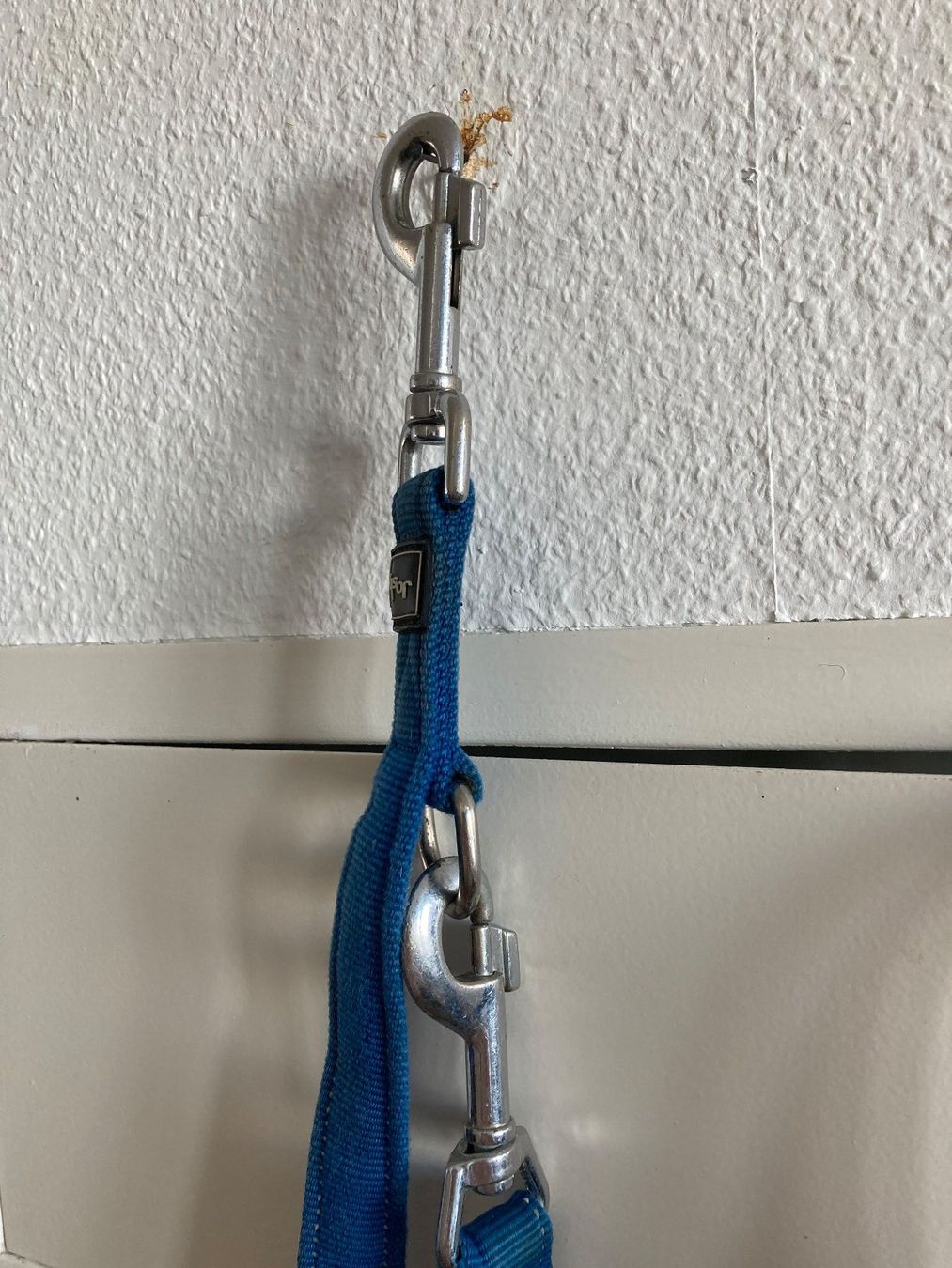 Collier et laisse: Hundeleine blau – D'occasion à Frauenfeld par Koffer12 2