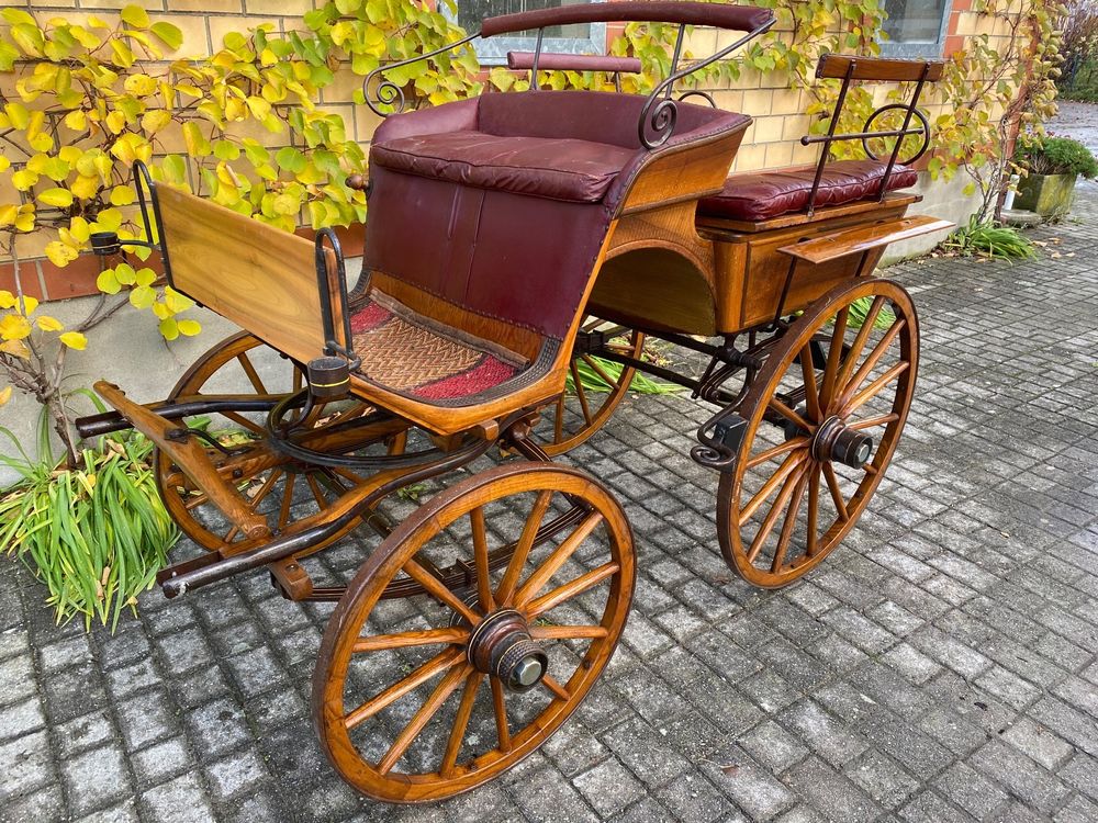 Klapp Break Kutsche für Pony, Haflinger, kleine Freiberger, (Gebraucht ...