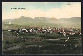 Hallau, Gesamtansicht mit Umgebung von W