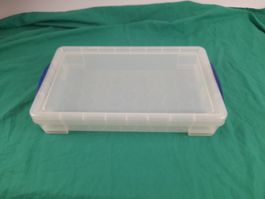REALLYUSEFULBOX  Transportbox 6L