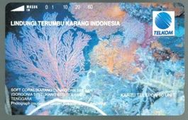 Telefonkarte Indonesien Korallen ungebraucht