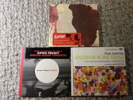 Gotye / Gotan Project / Pink Martini