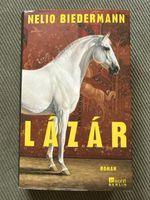 Buch Lazar von Nelio Biedermann Roman