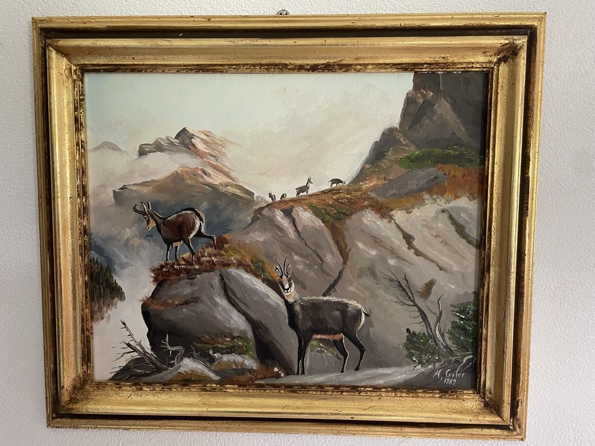 Dipinti: Gamsbild von H. Guler – Usato da Schmitten (Albula) venduto da an.am