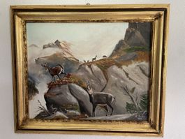 Gamsbild von H. Guler