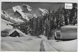 Schneelandschaft in Wengen