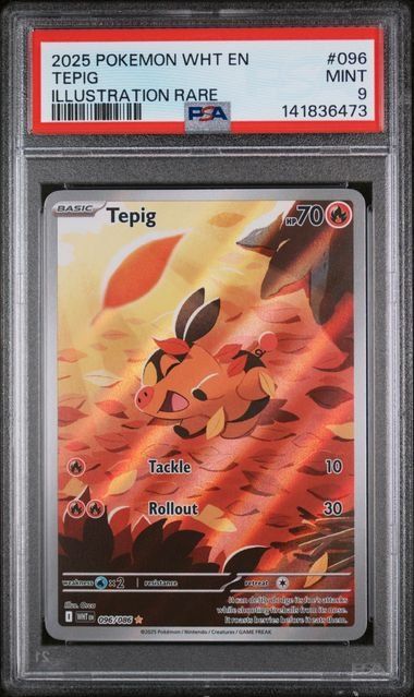 Pokémon Sammelbilder & Trading cards: Pokemon Tepig 096 PSA 9 White Flare – Gebraucht aus Zürich von picollector