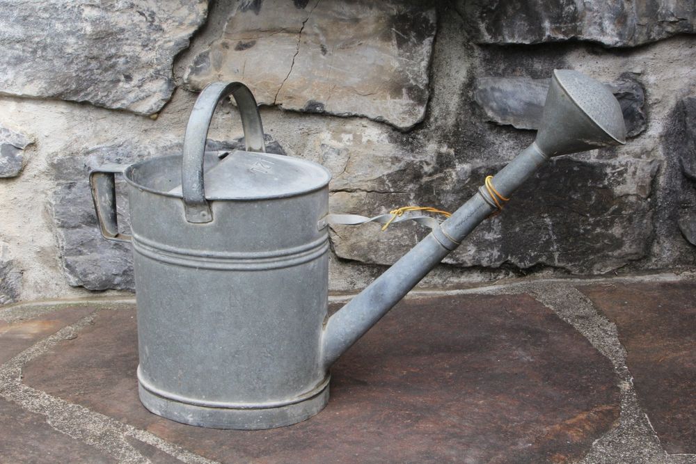 BESTonZON Gießkanne 4 Liter - Kunststoff, Wolkenform, Mit Langem Ausguss