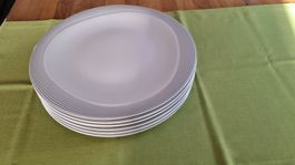 8 Stk. edle Speiseteller Seltmann Weiden, neuwertig!