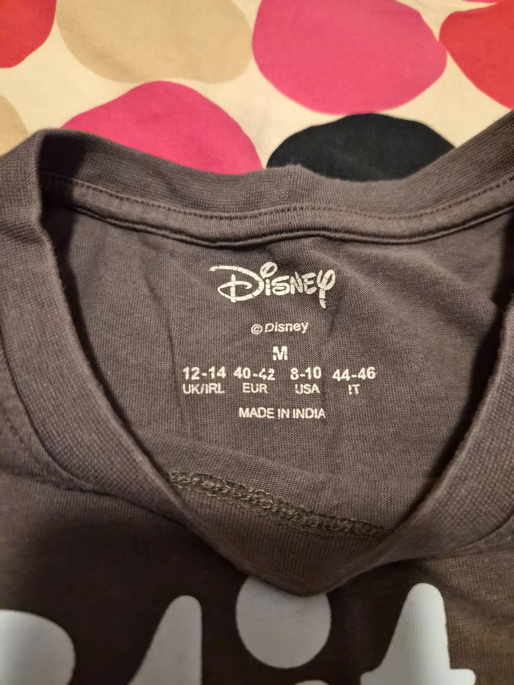 T-shirt: T-SHIRT  gr M Disney – Usato da Dietikon venduto da Eleda 2