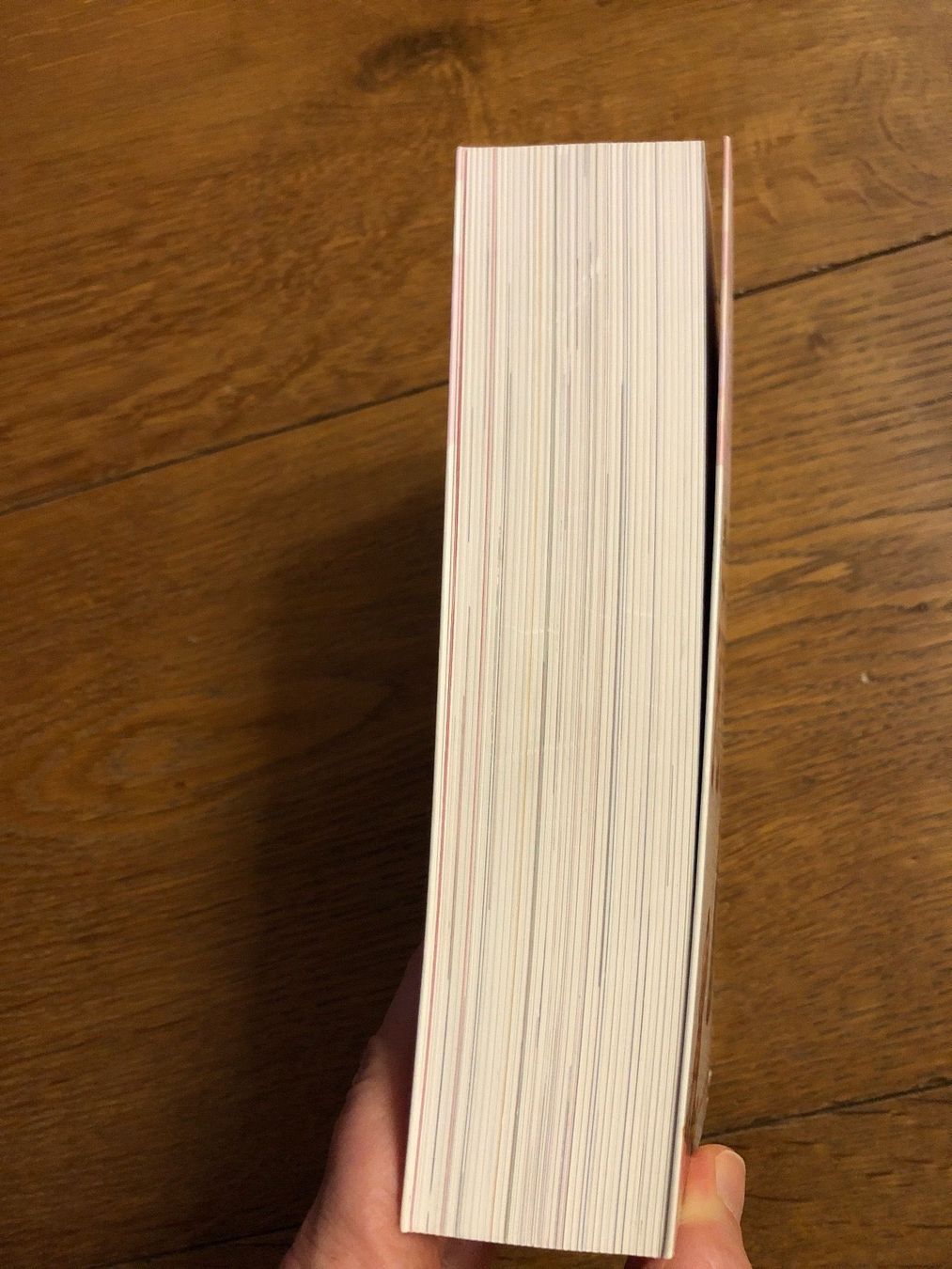 Bücher: 1000 Extra/Ordinary OBJECTS – Gebraucht aus Chur von Renibe 1