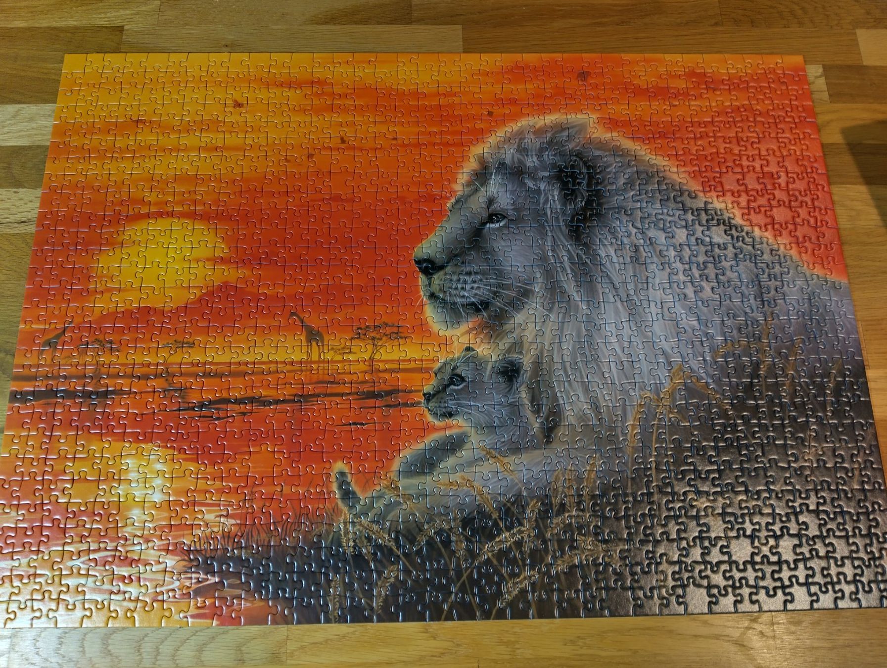 Puzzle: 1000er Puzzle, Ravensburger, Löwe – Usato da Full-Reuenthal venduto da Ilor0309 1