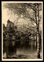AK Werdenberg, Schloss über Ort am See mit Birke im Vordergr