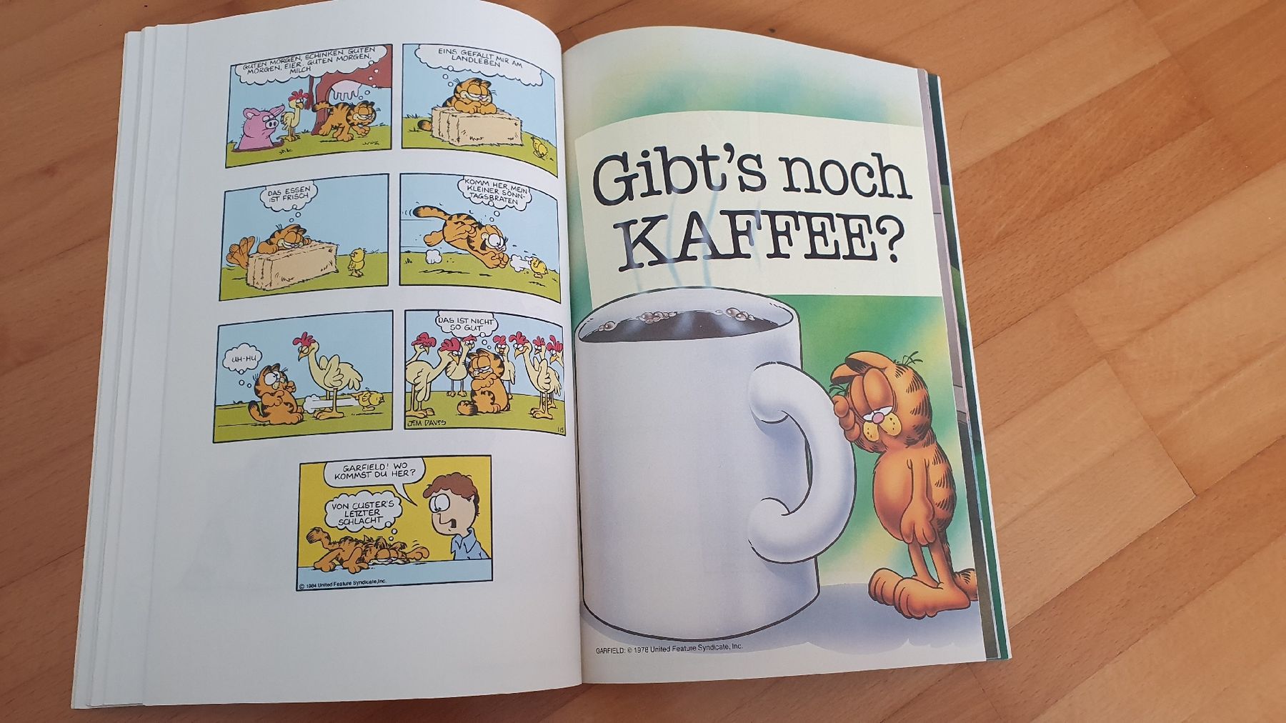 Fumetti: Garfield Galerie 3, Lustiges Comic-Buch – Usato da Meilen venduto da DodoSchubi 2