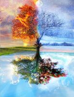 DIY 5D Diamond Painting Set 30x40cm Zauberbaum Wall Décor