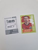 Panini Sticker AUT11