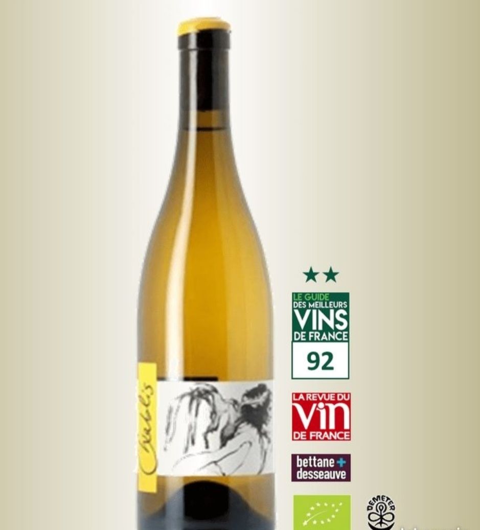 Vino: Chablis vent d Ange - Thomas Pico - Pattes Loup – Nuovo (secondo la descrizione) da lausanne venduto da Antoine1010