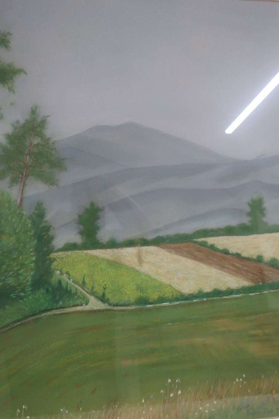 Dipinti: Sommer im Allgäu Eugen Zilioli – Usato da Volketswil venduto da brockipfannenstil 5
