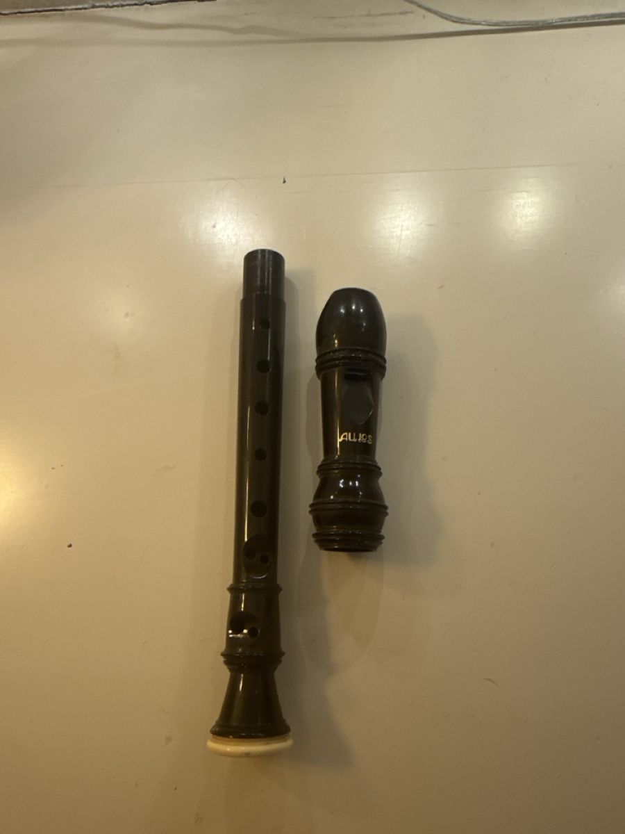 Vintage Strumenti musicali: Blockflöte Aulos – Usato da Stäfa venduto da goldglitzer 1
